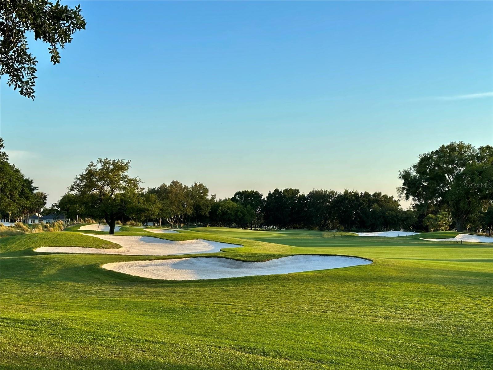 9935 SW 98TH LN, OCALA, FL, 34481