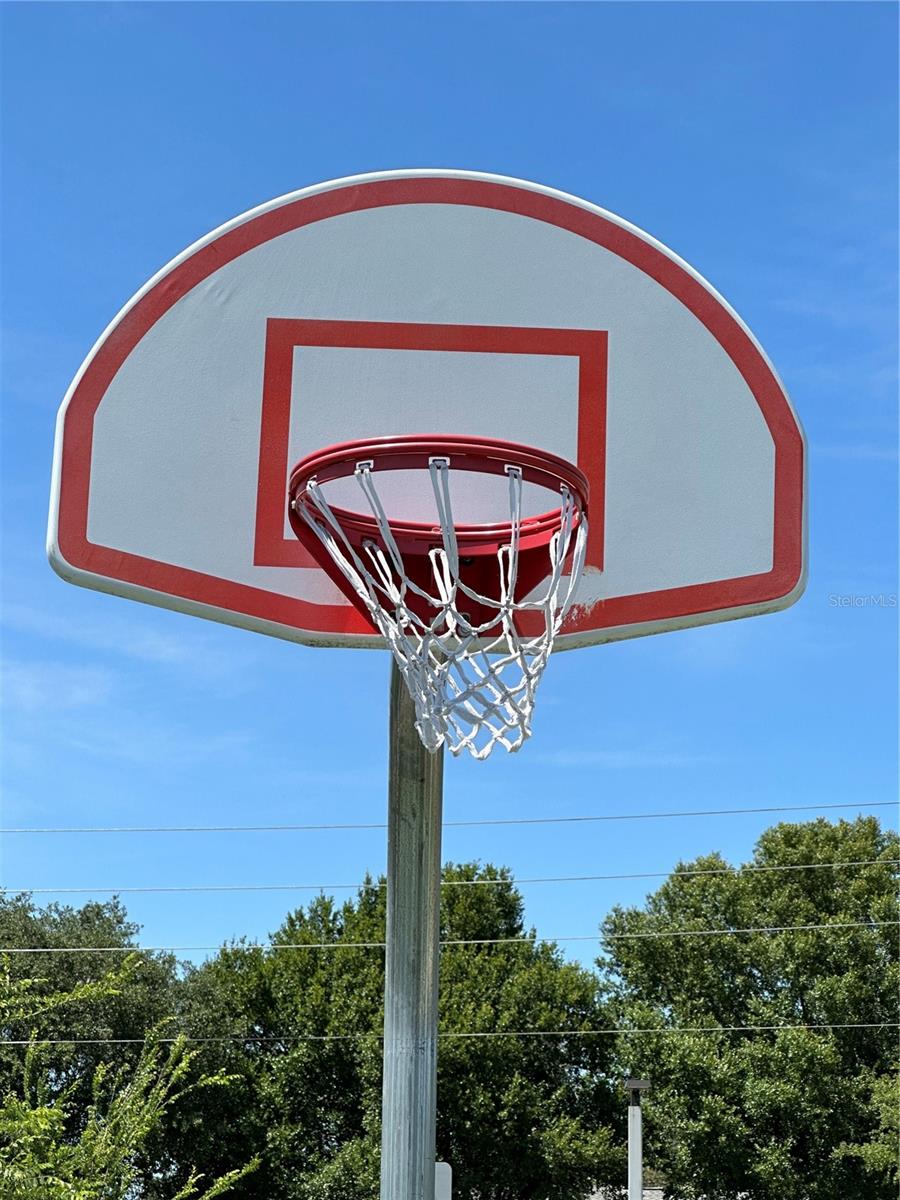 9935 SW 98TH LN, OCALA, FL, 34481