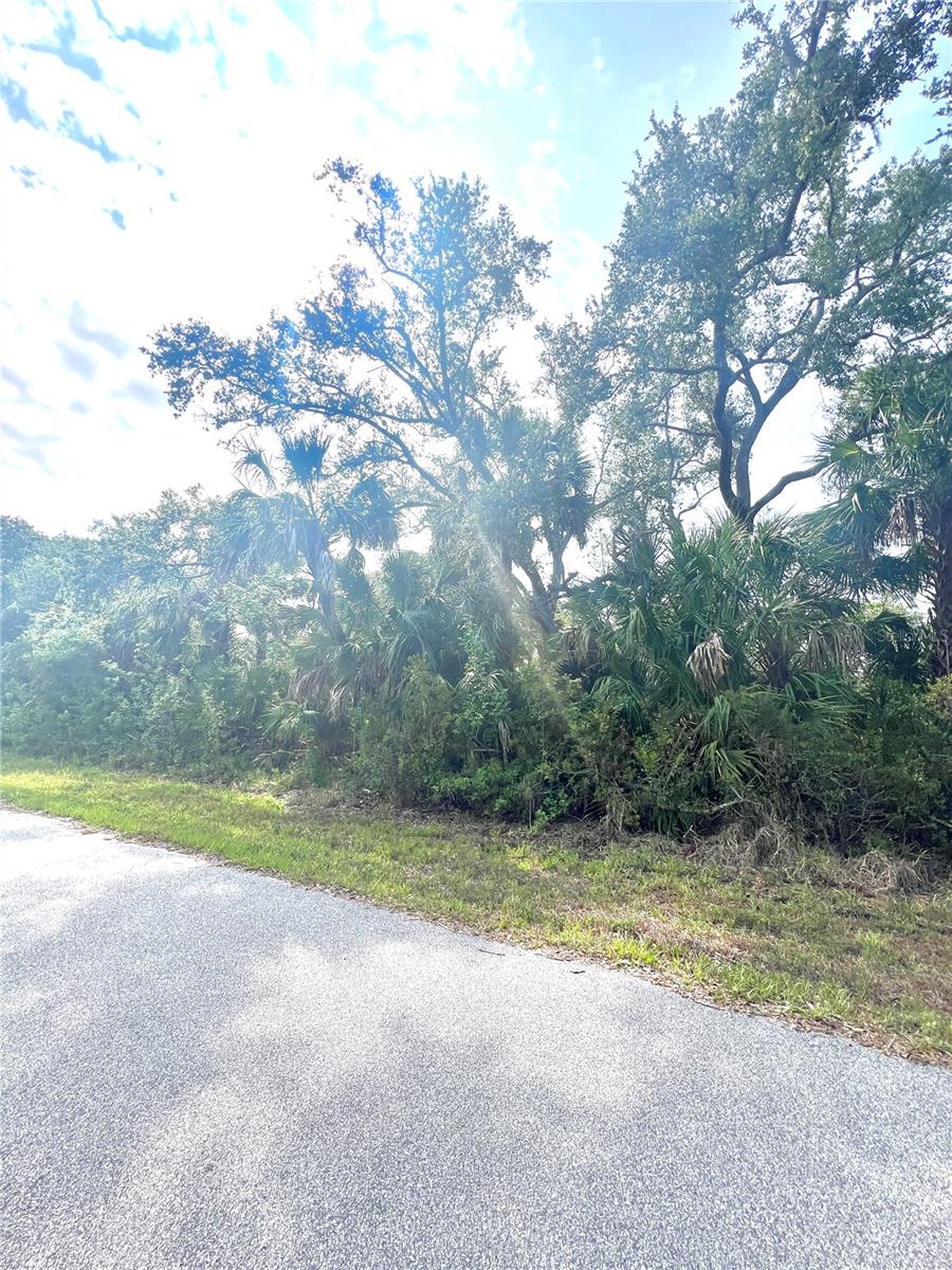 1419 LACE TER, PORT CHARLOTTE, FL, 33953