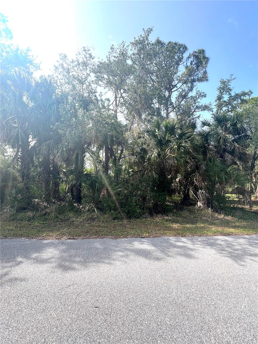 1419 LACE TER, PORT CHARLOTTE, FL, 33953