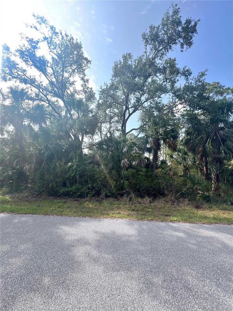 1419 LACE TER, PORT CHARLOTTE, FL, 33953