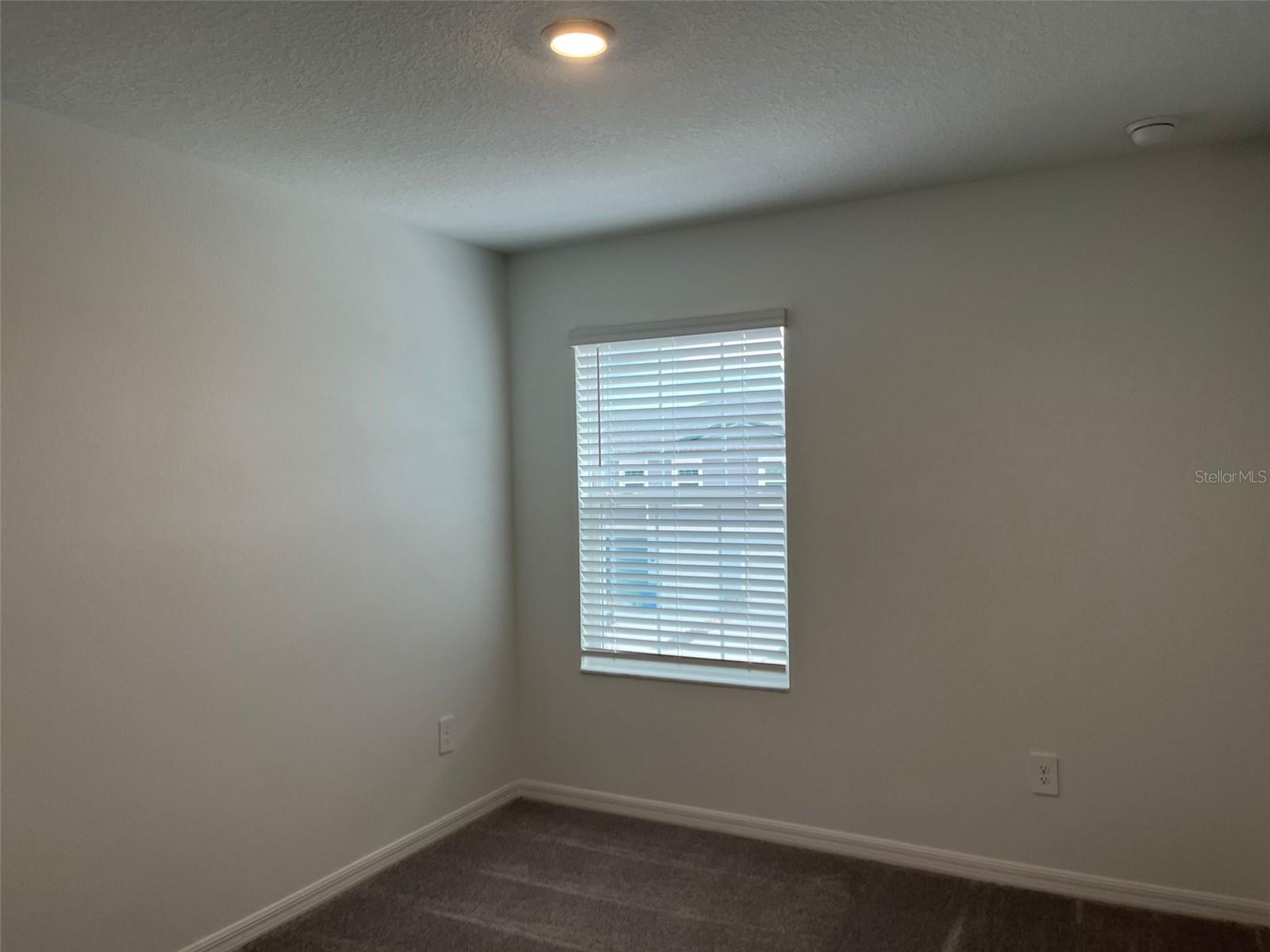 10264 TRUMPET HONEYSUCKLE WAY, SAN ANTONIO, FL, 33576