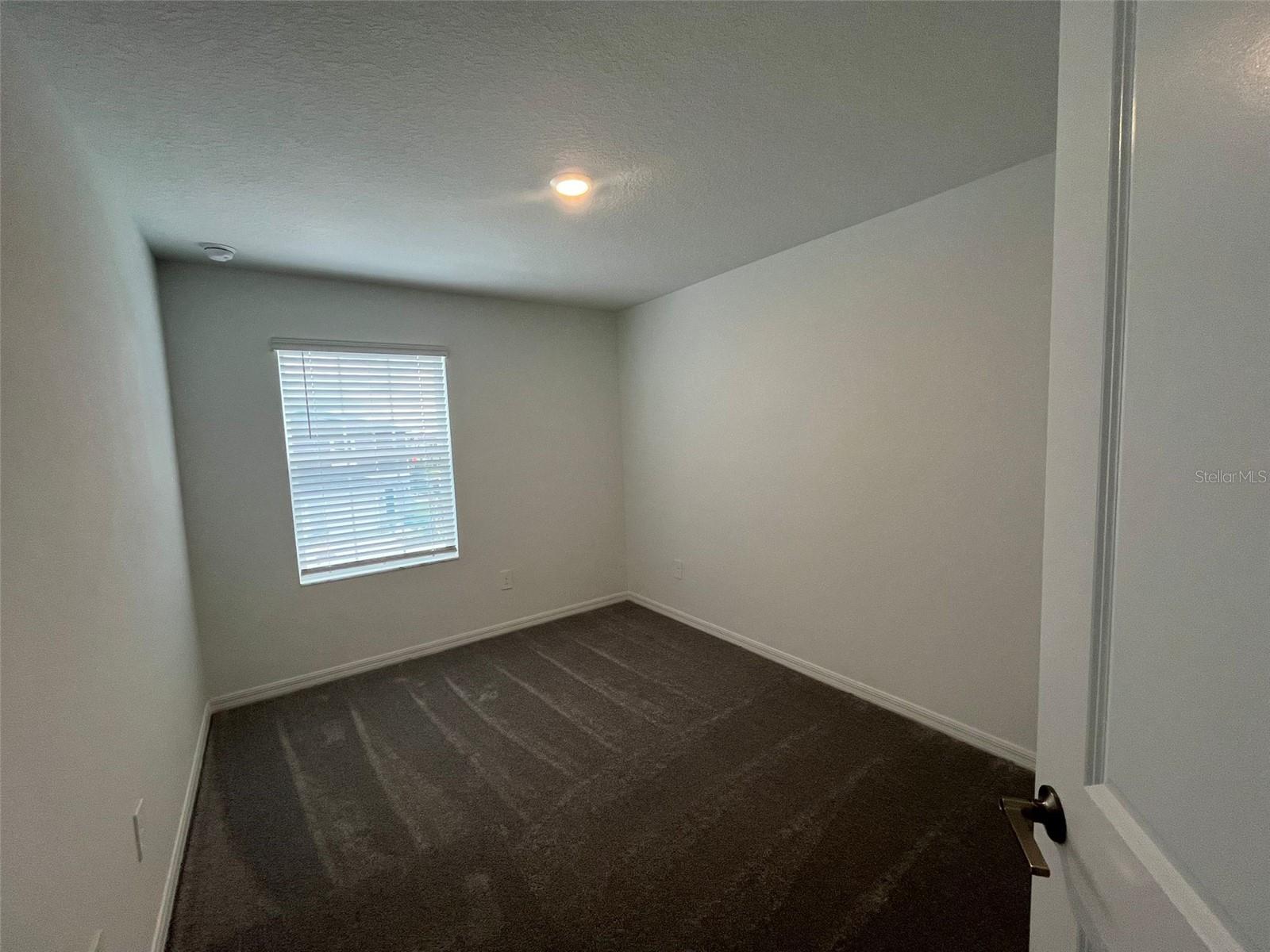 10264 TRUMPET HONEYSUCKLE WAY, SAN ANTONIO, FL, 33576