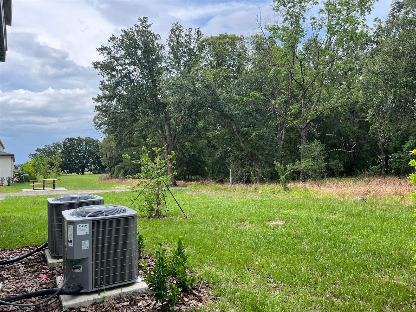 10264 TRUMPET HONEYSUCKLE WAY, SAN ANTONIO, FL, 33576