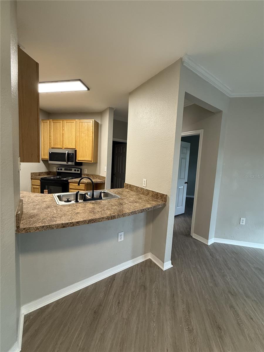 10019 COURTNEY PALMS BLVD #204, TAMPA, FL, 33619