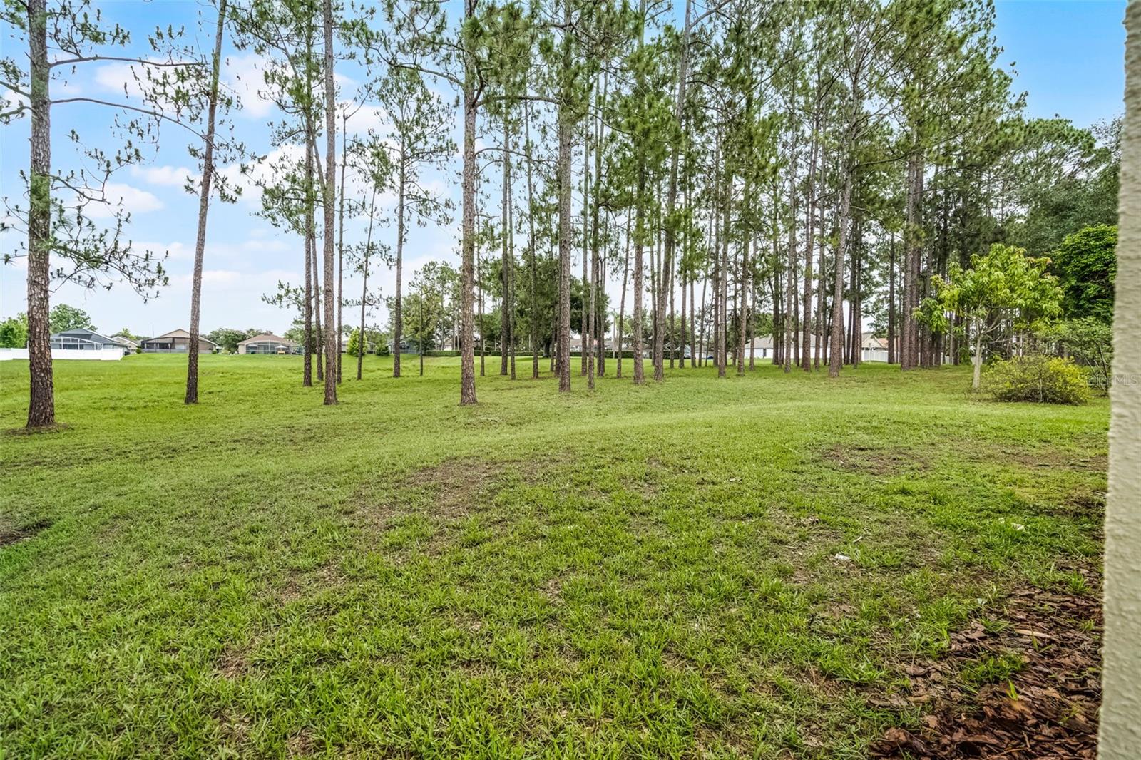 142 STONEGATE PASS, DAVENPORT, FL, 33897