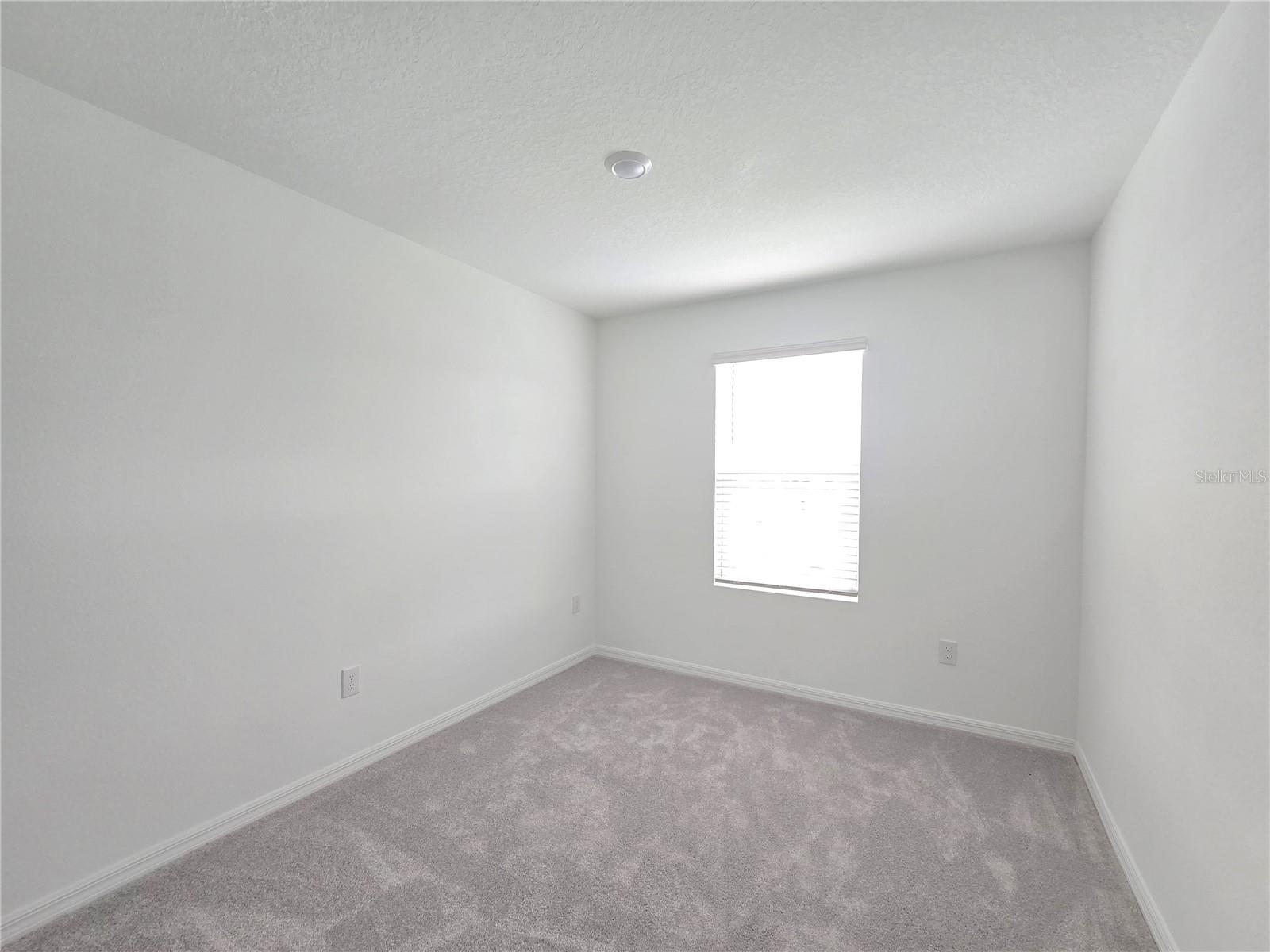 2073 HALLIER CV, WESLEY CHAPEL, FL, 33543