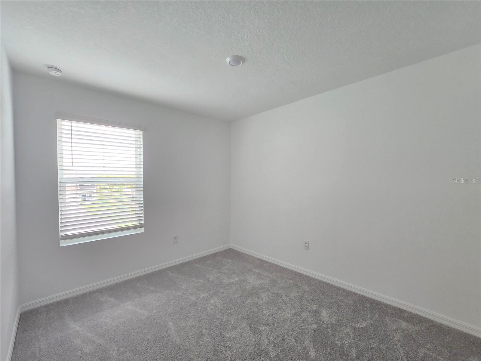 2073 HALLIER CV, WESLEY CHAPEL, FL, 33543