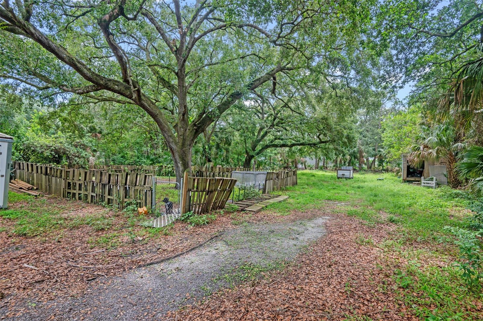 5381 AVOCADO AVE, COCOA, FL, 32926