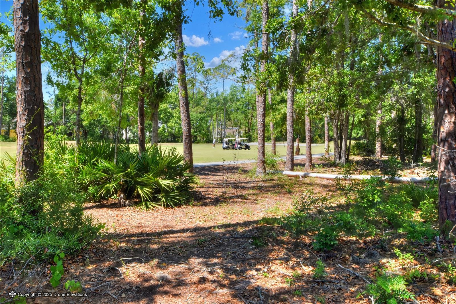 34852 TEEVIEW LN, ZEPHYRHILLS, FL, 33541