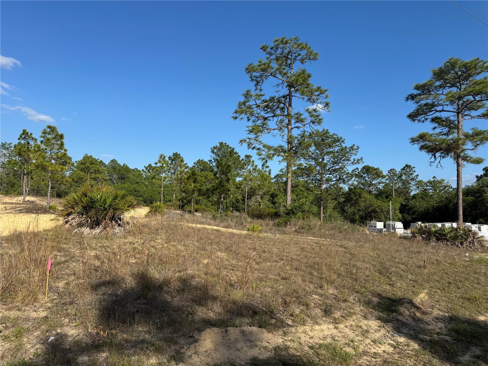 6597 N GRAYTON TER, DUNNELLON, FL, 34433