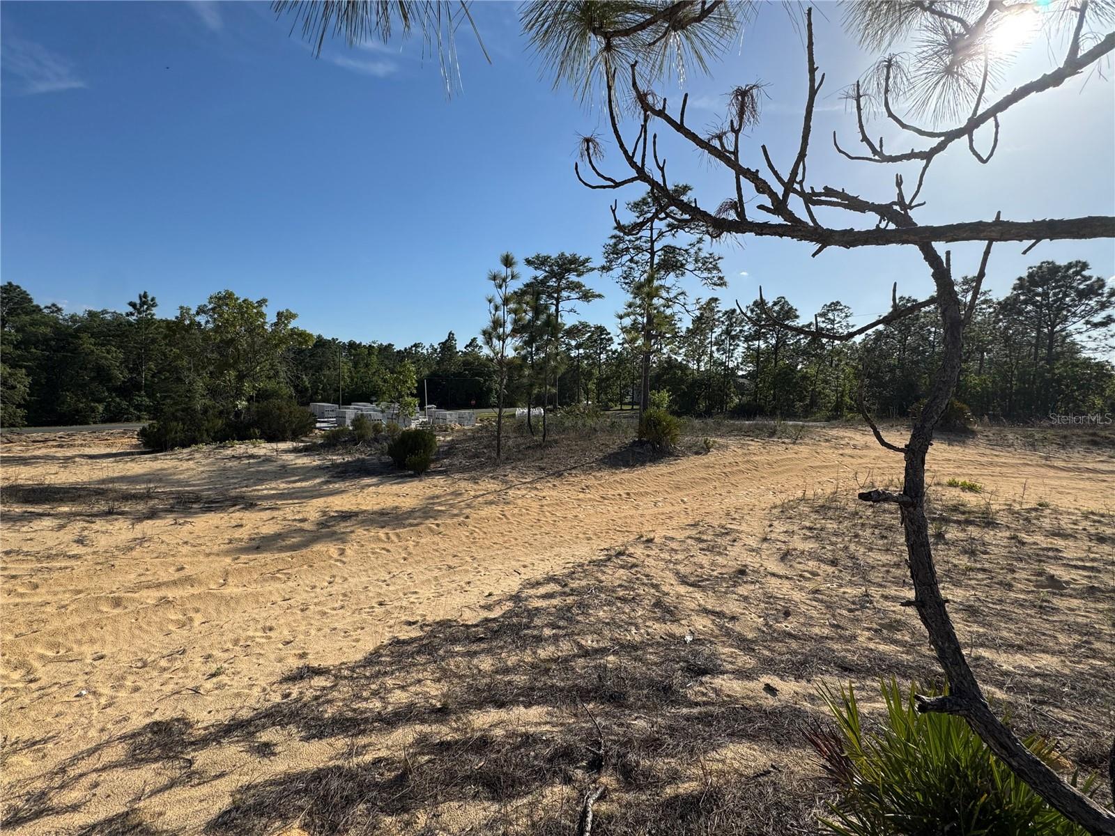 6597 N GRAYTON TER, DUNNELLON, FL, 34433