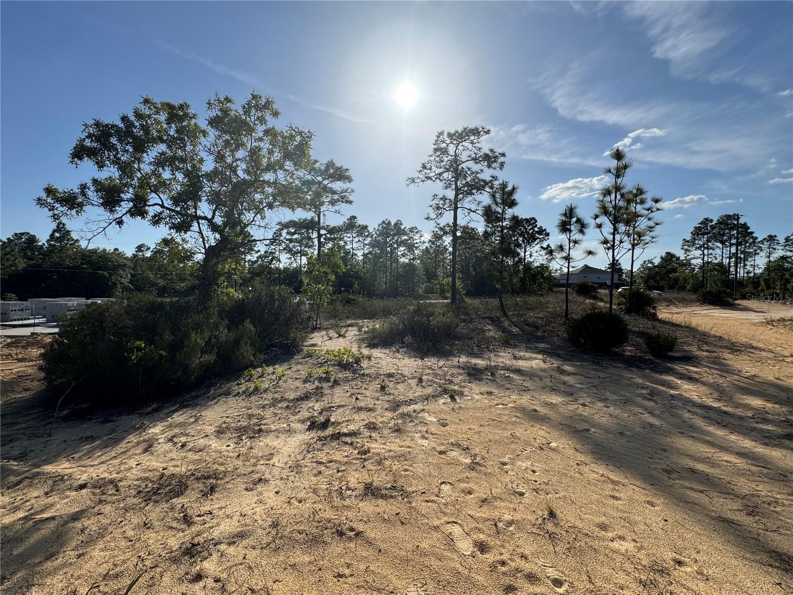 6597 N GRAYTON TER, DUNNELLON, FL, 34433