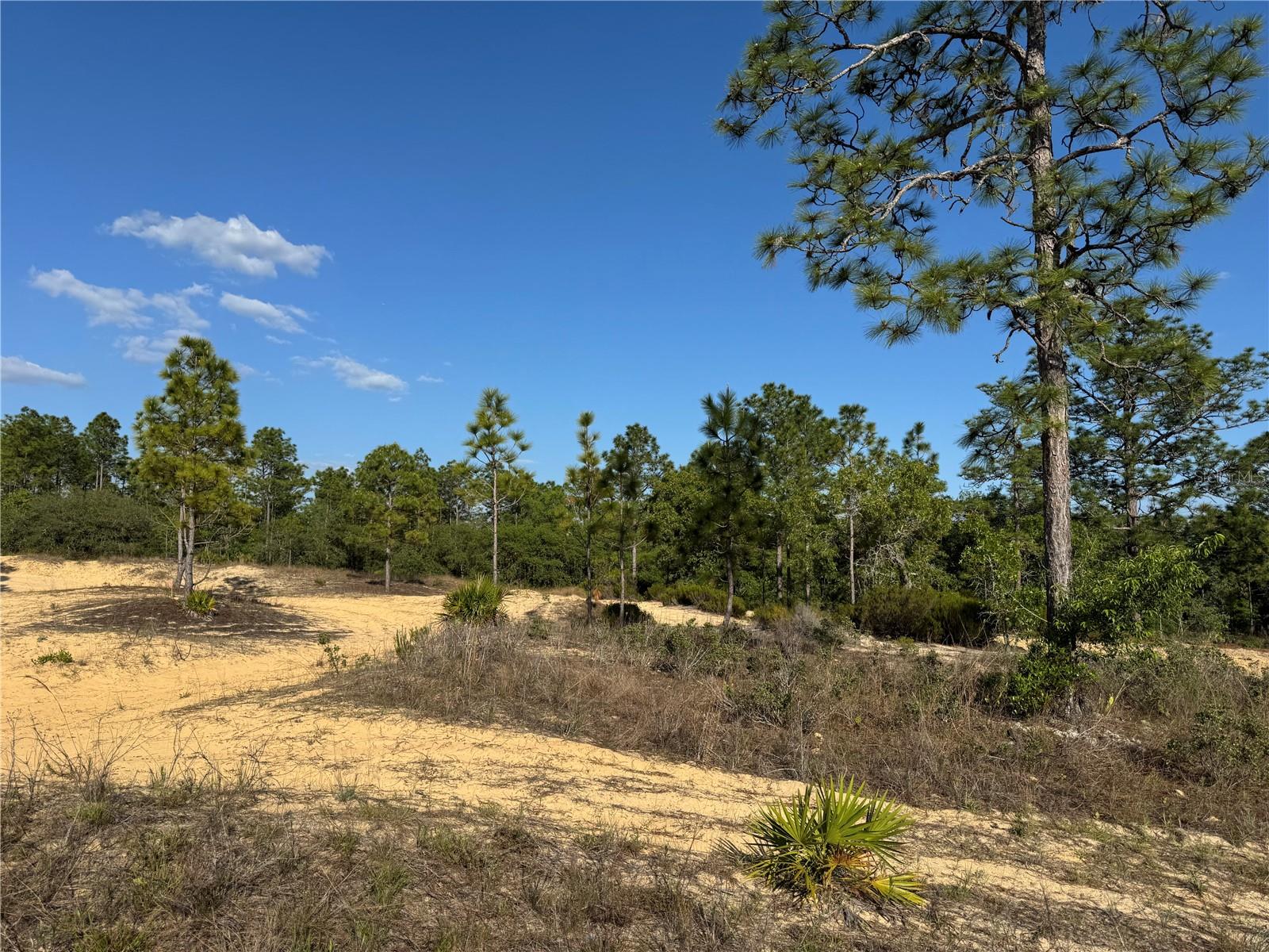 6597 N GRAYTON TER, DUNNELLON, FL, 34433