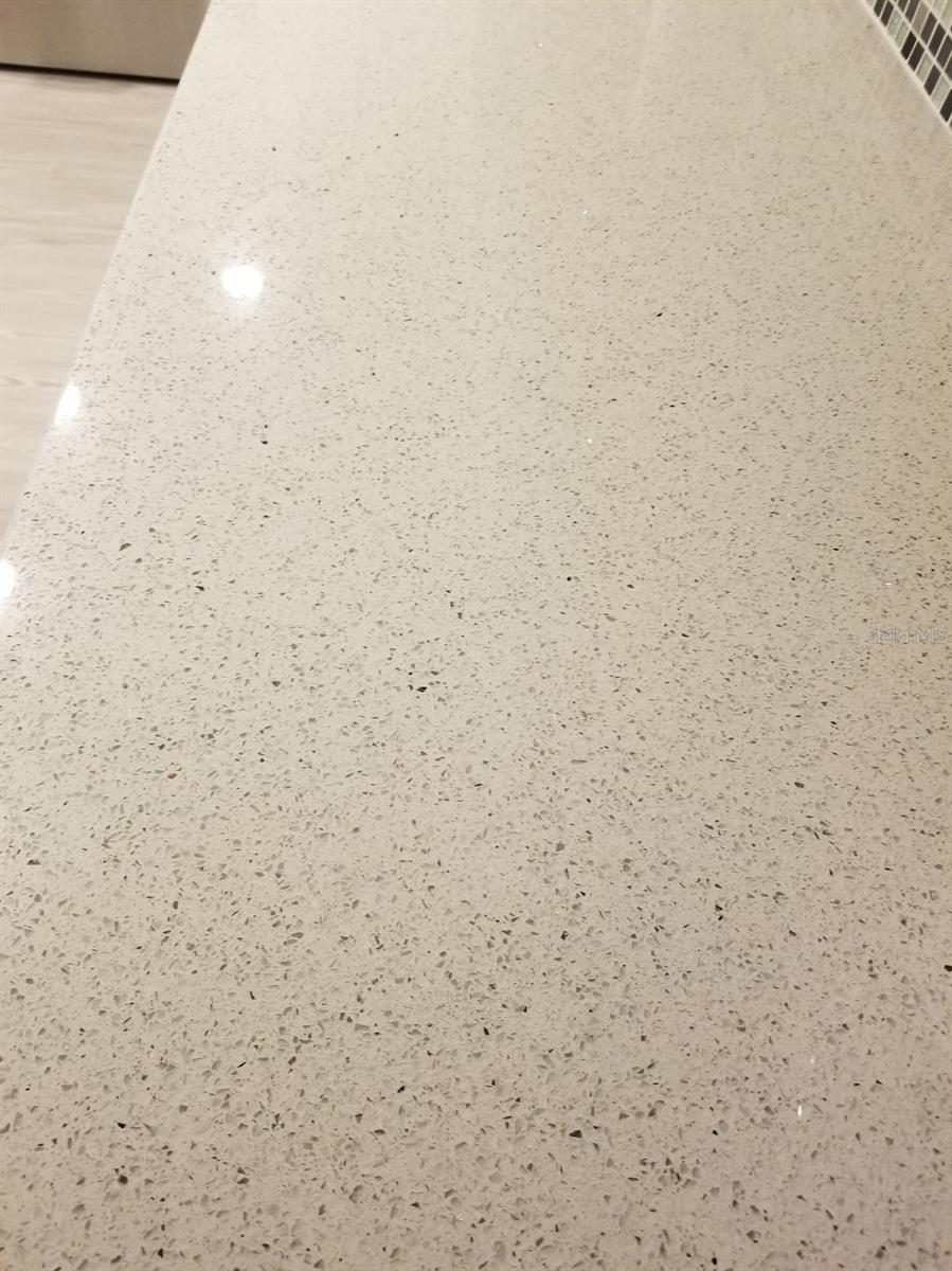 2700 BAYSHORE BLVD #11-302, DUNEDIN, FL, 34698