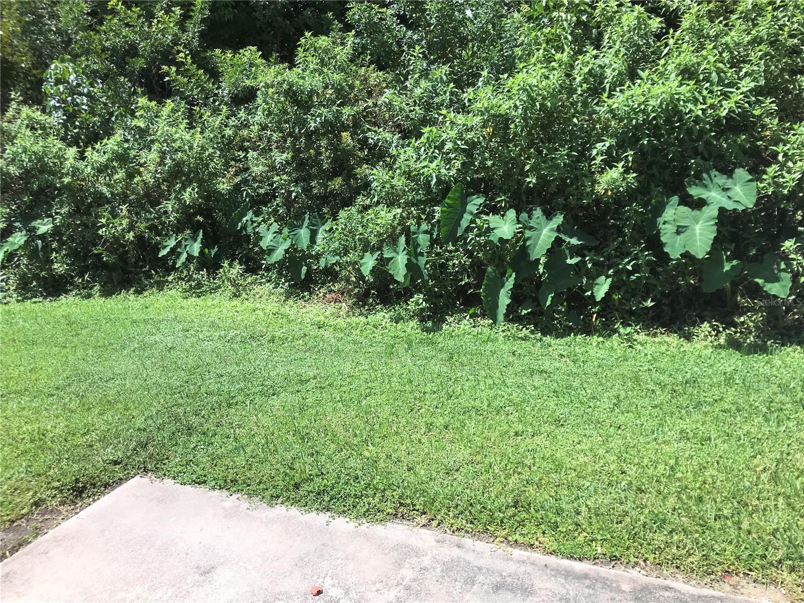 1323 54TH AVE E #16E, BRADENTON, FL, 34203