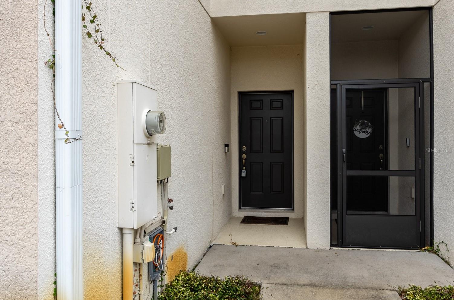 4770 WHITE SANDERLING CT, TAMPA, FL, 33619