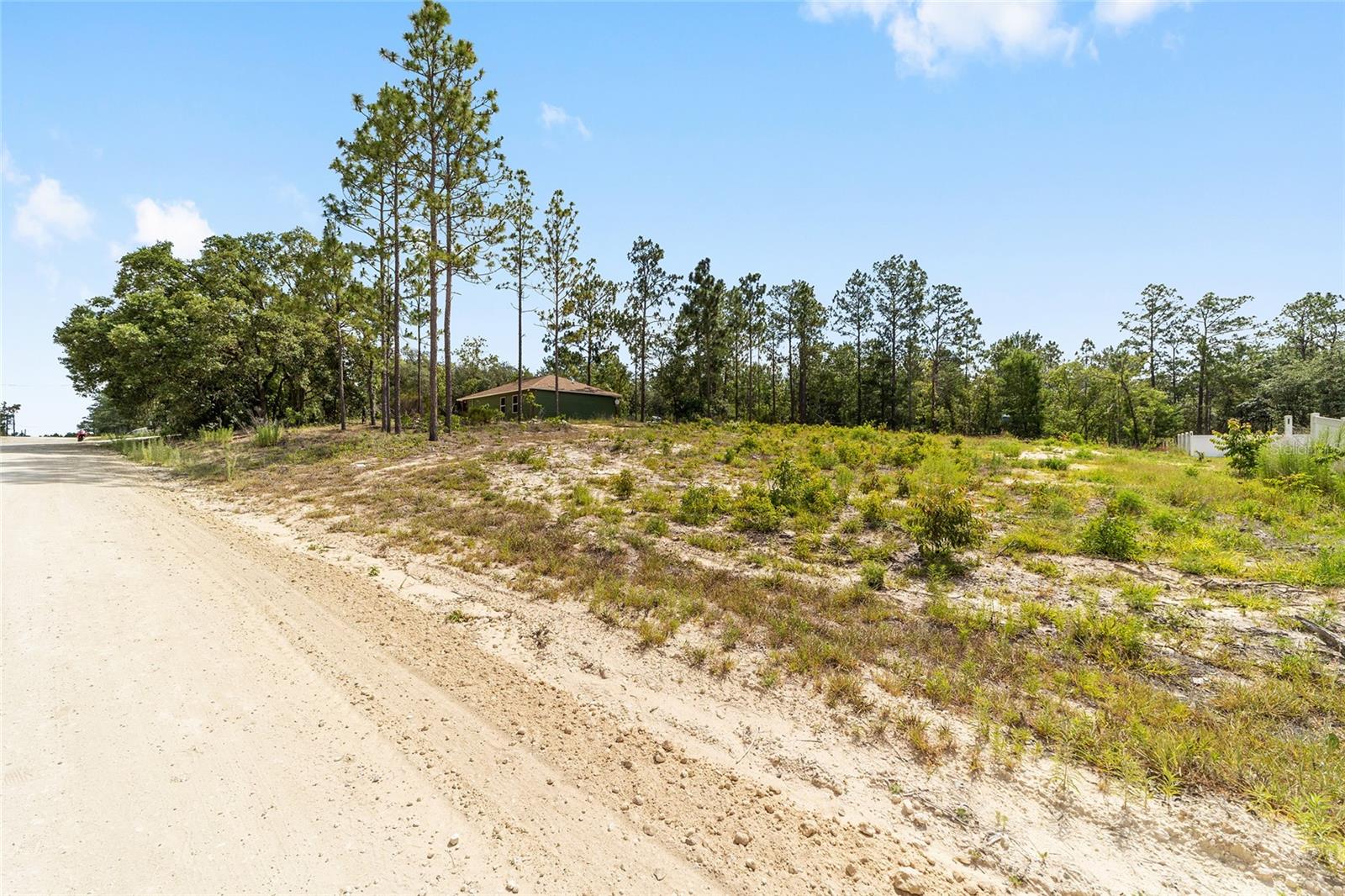 191 SE 148TH AVE, WILLISTON, FL, 32696