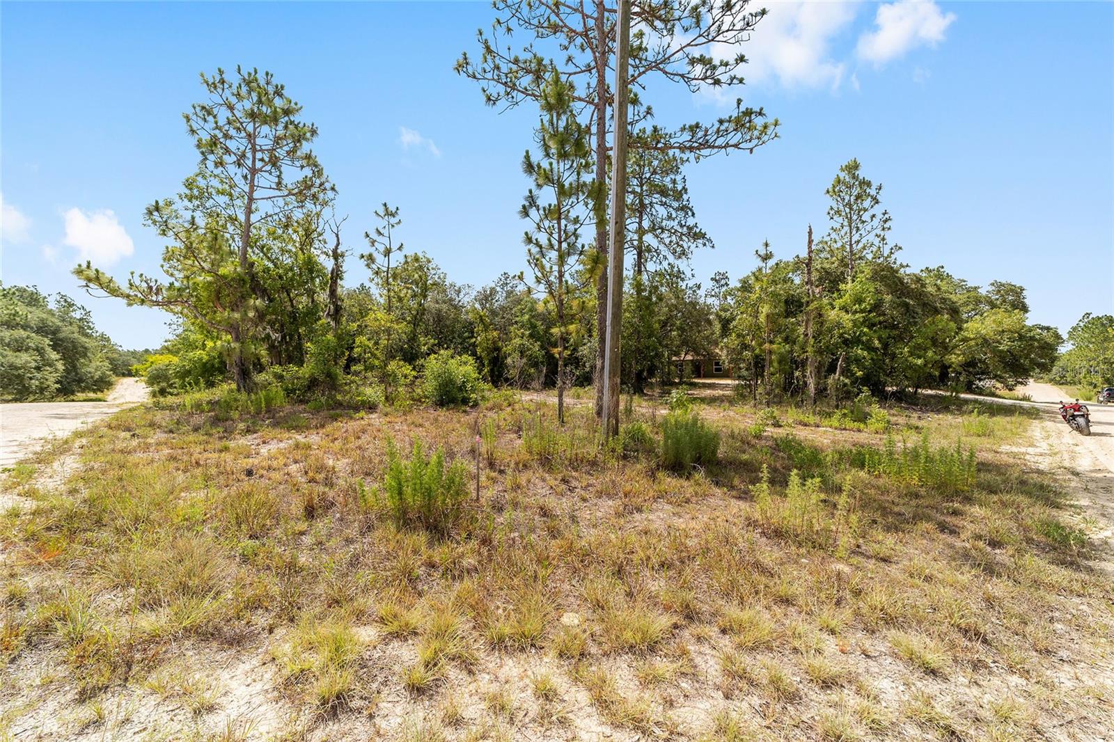 191 SE 148TH AVE, WILLISTON, FL, 32696