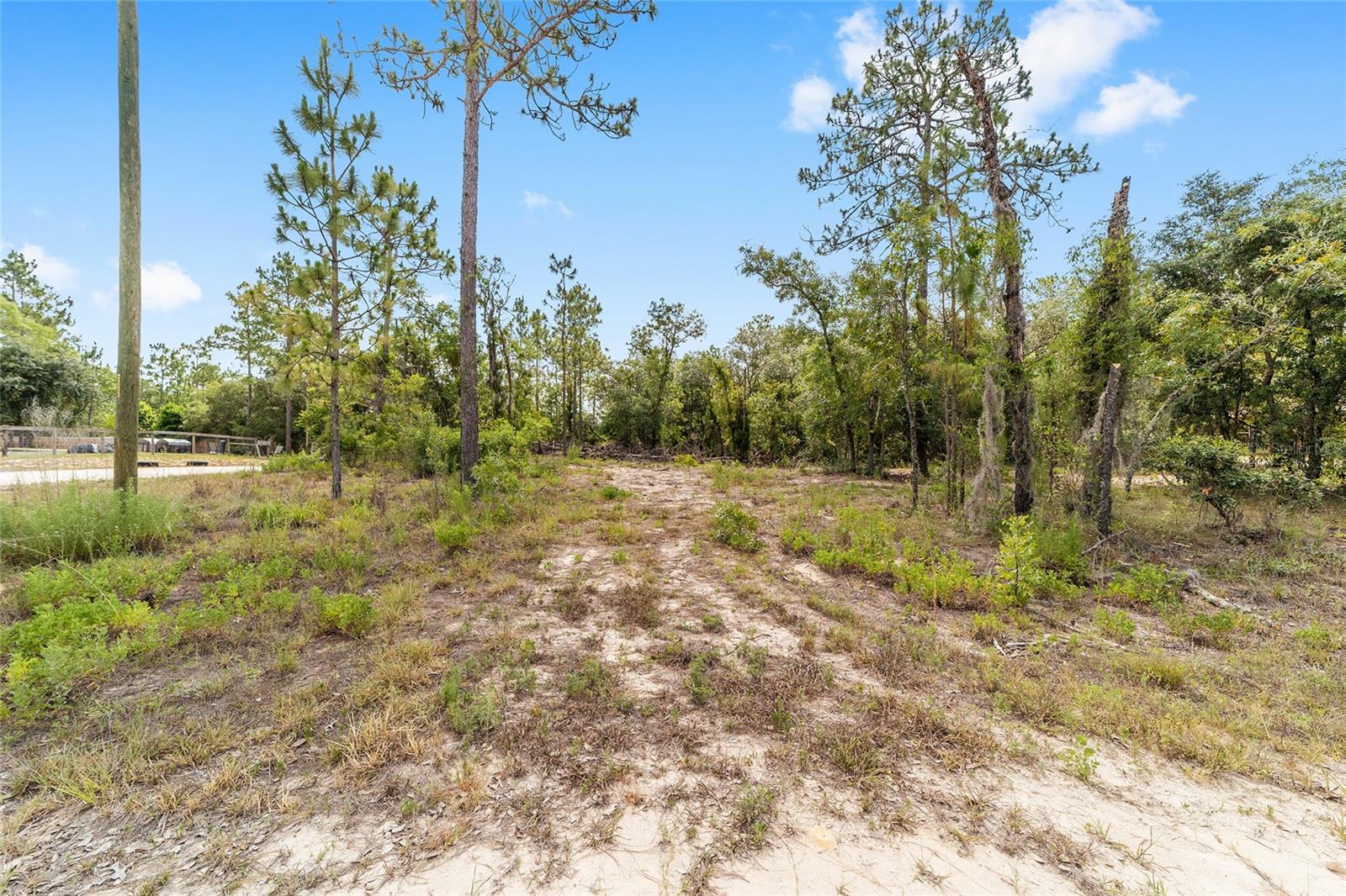 191 SE 148TH AVE, WILLISTON, FL, 32696