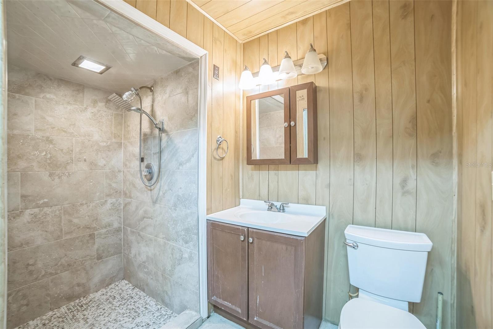 18911 SE 114TH ST, OCKLAWAHA, FL, 32179