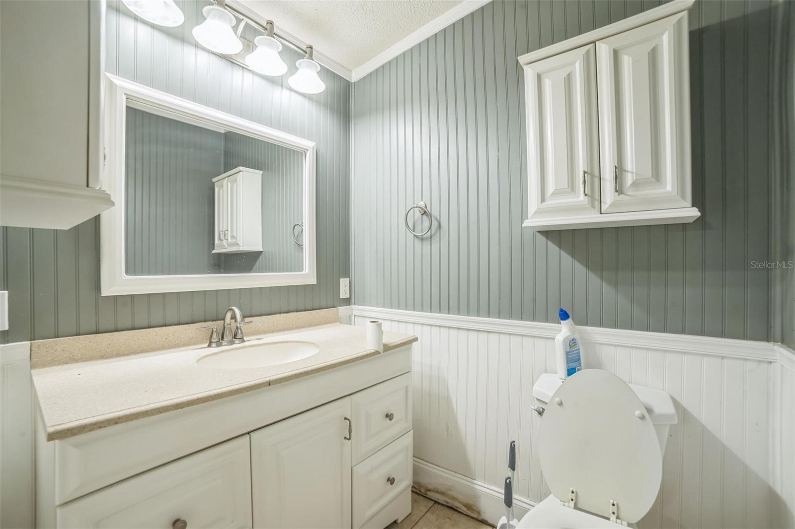 18911 SE 114TH ST, OCKLAWAHA, FL, 32179