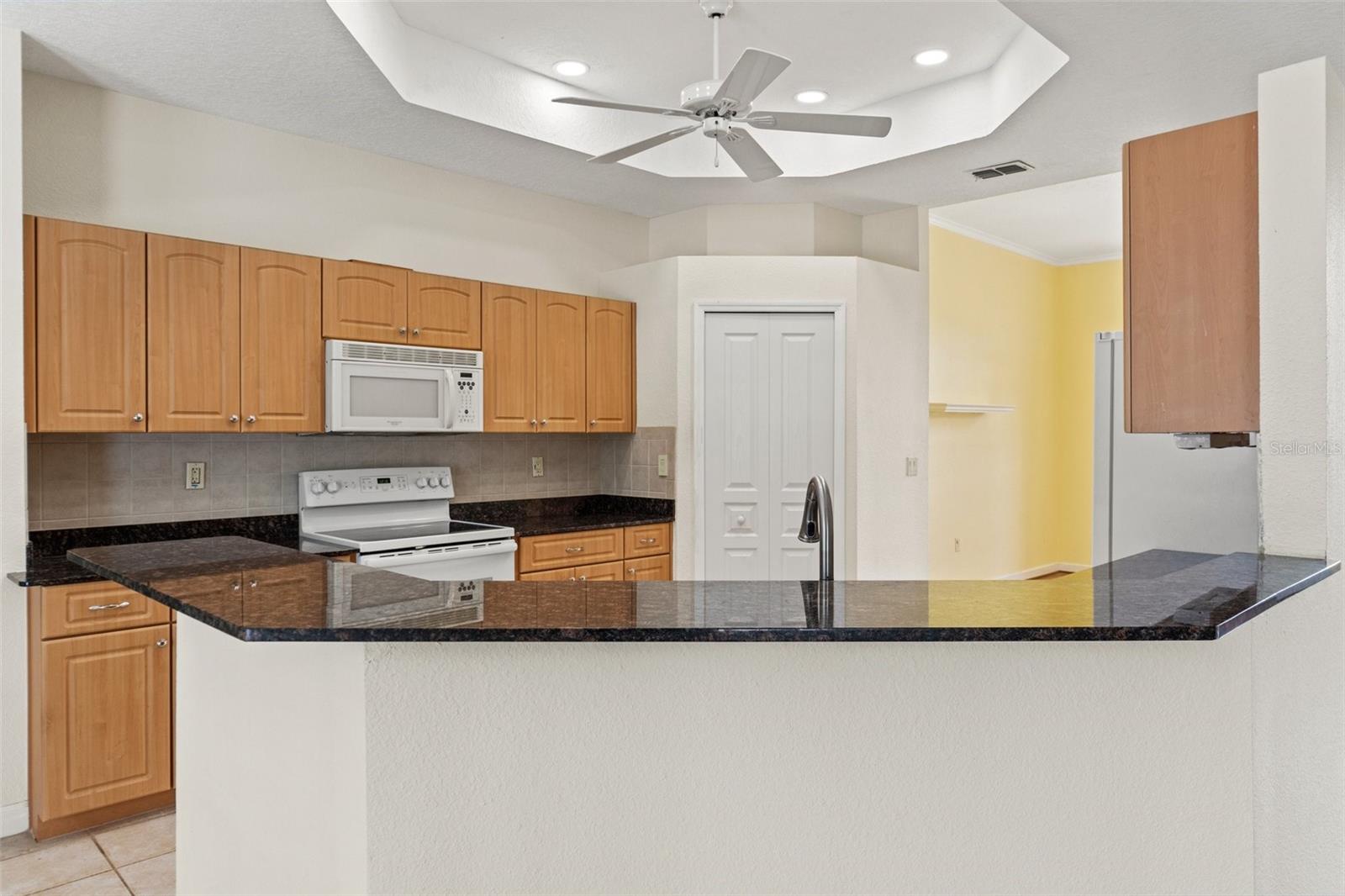 12805 CORONADO DR, SPRING HILL, FL, 34609