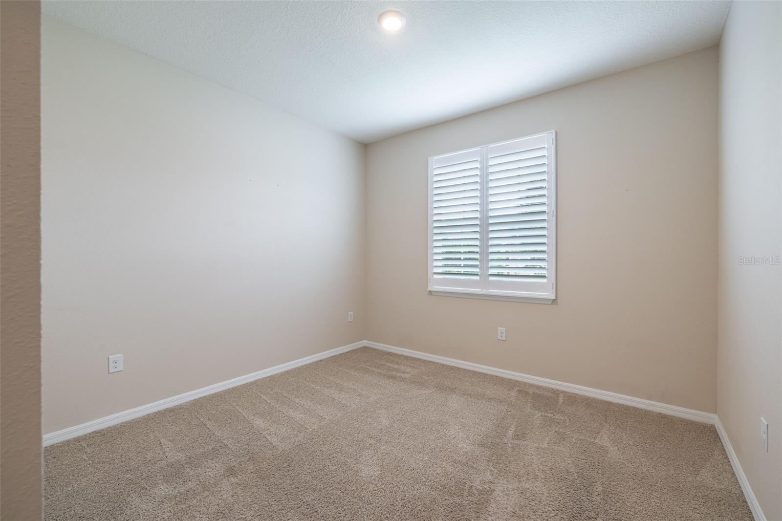 2898 LIVING CORAL DR, ODESSA, FL, 33556