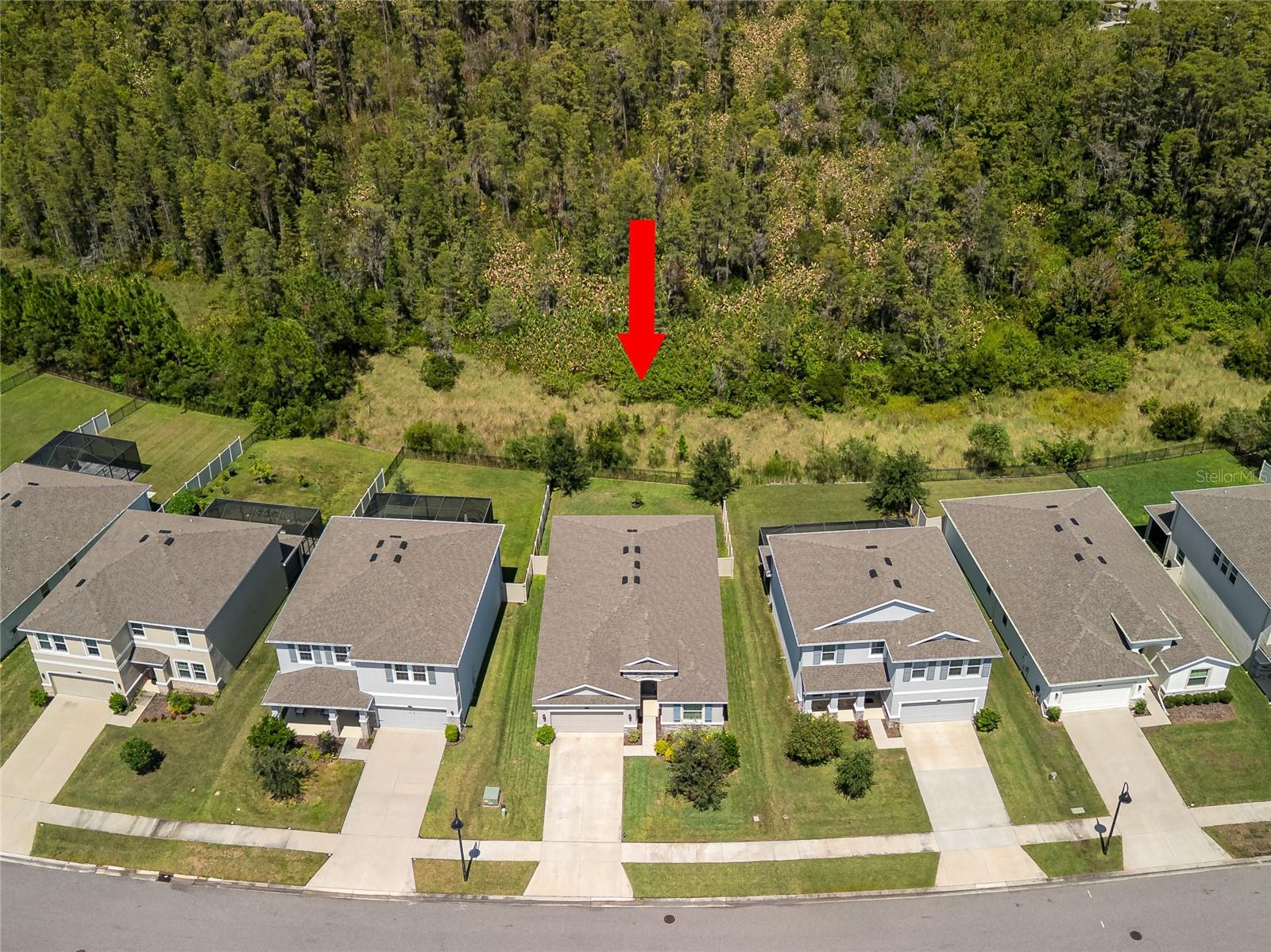 2898 LIVING CORAL DR, ODESSA, FL, 33556