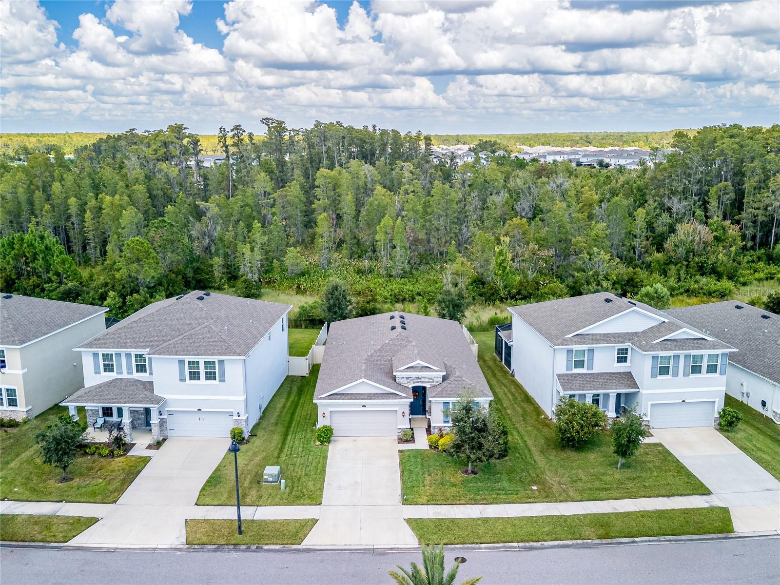 2898 LIVING CORAL DR, ODESSA, FL, 33556