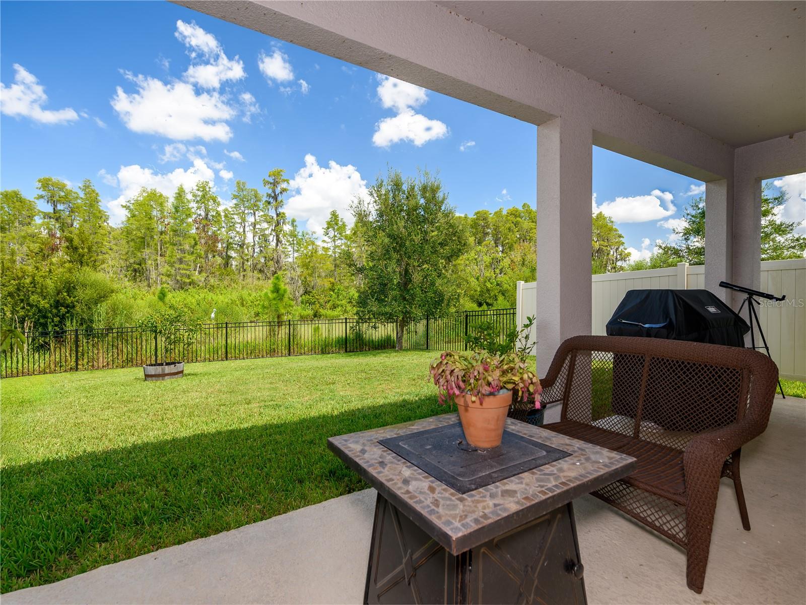 2898 LIVING CORAL DR, ODESSA, FL, 33556