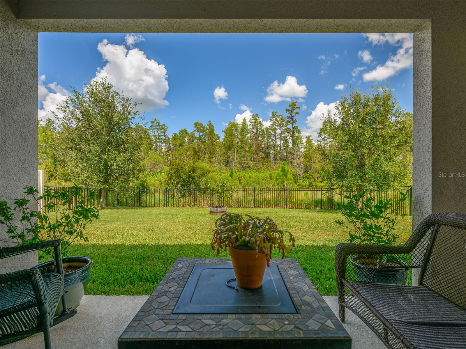 2898 LIVING CORAL DR, ODESSA, FL, 33556