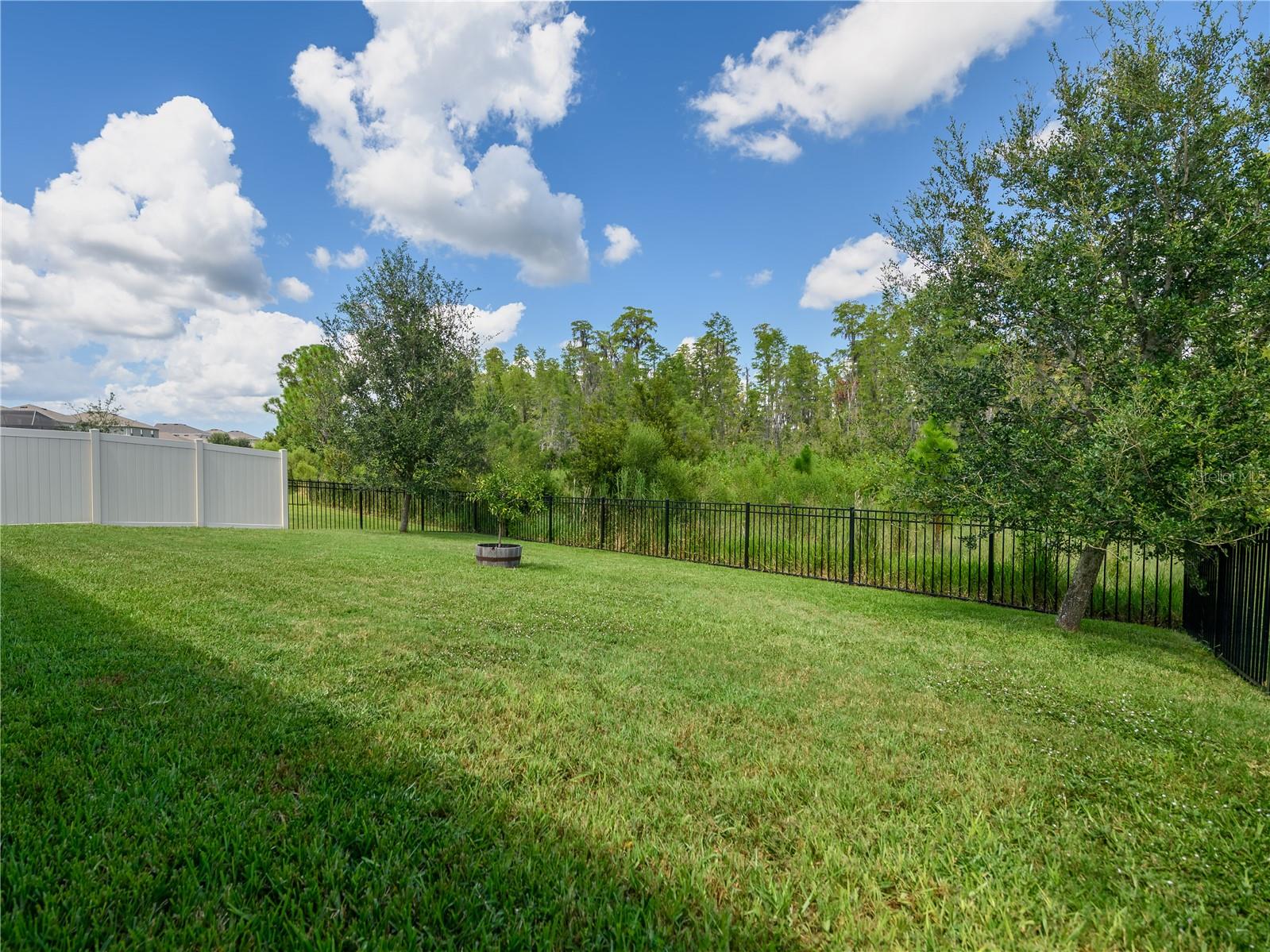 2898 LIVING CORAL DR, ODESSA, FL, 33556