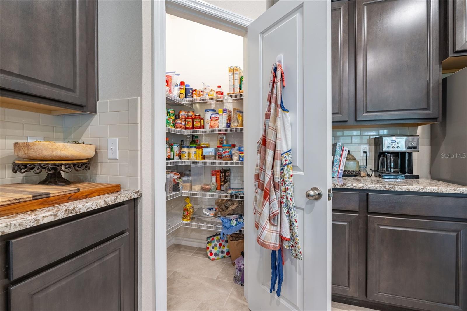 2898 LIVING CORAL DR, ODESSA, FL, 33556