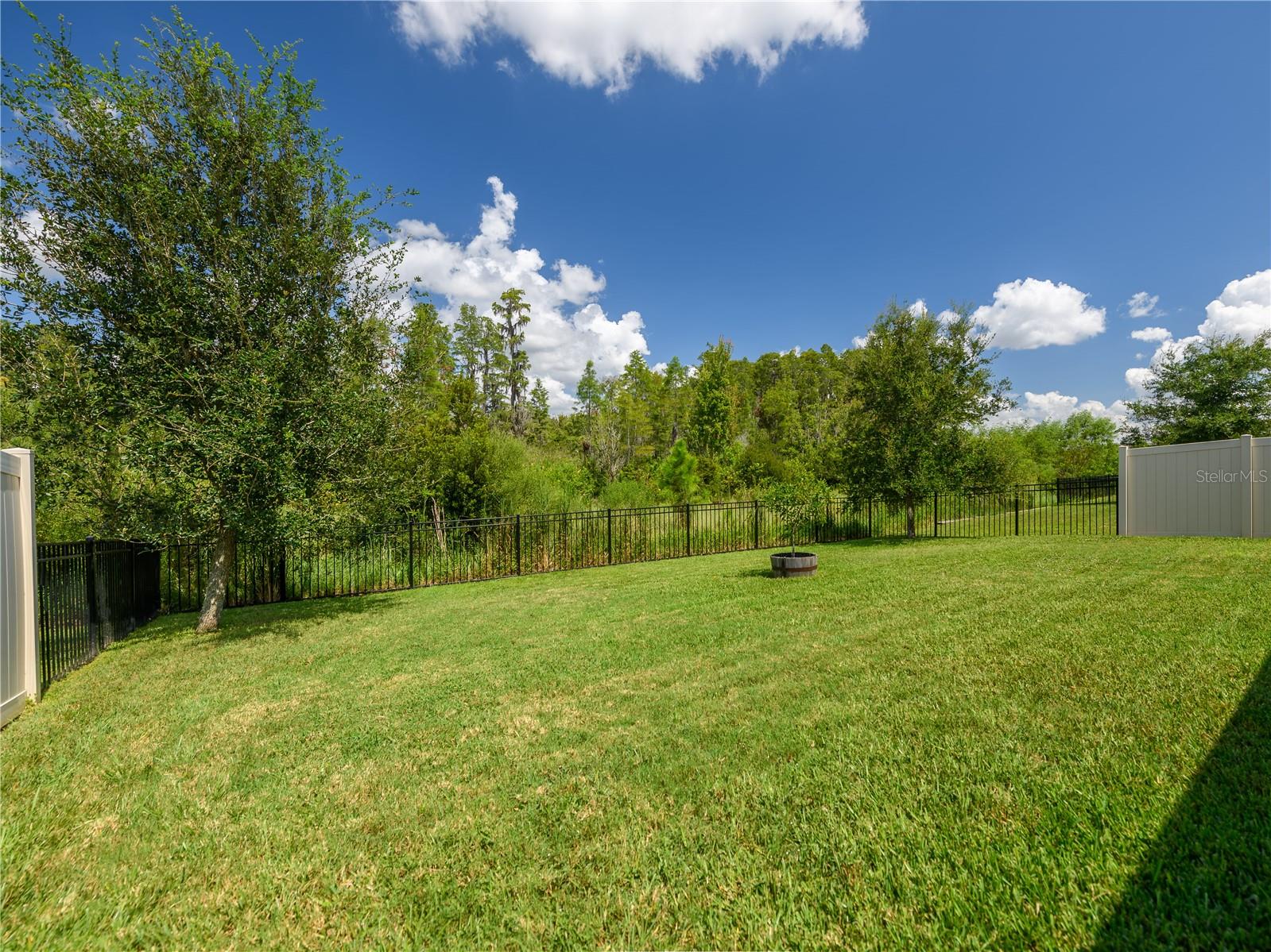 2898 LIVING CORAL DR, ODESSA, FL, 33556