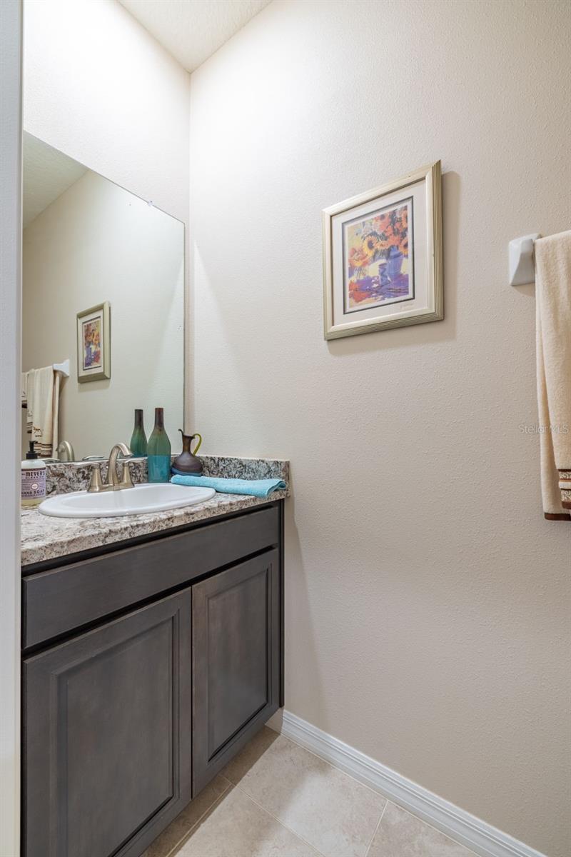 2898 LIVING CORAL DR, ODESSA, FL, 33556