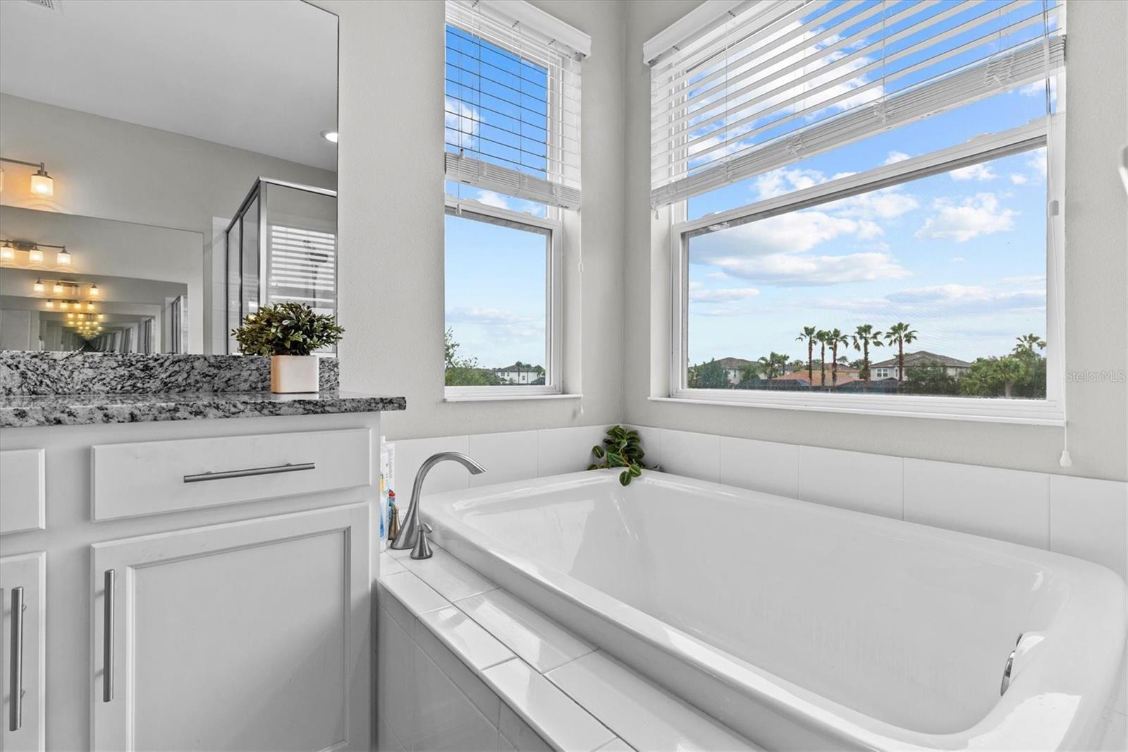 2724 COCO PALM CIR, WESLEY CHAPEL, FL, 33543