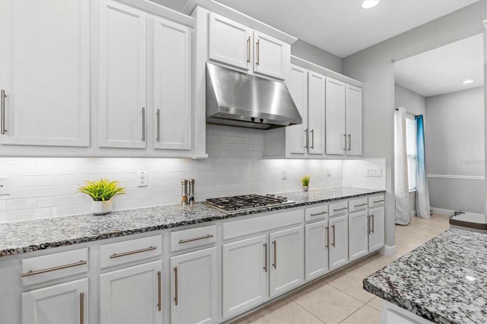 2724 COCO PALM CIR, WESLEY CHAPEL, FL, 33543