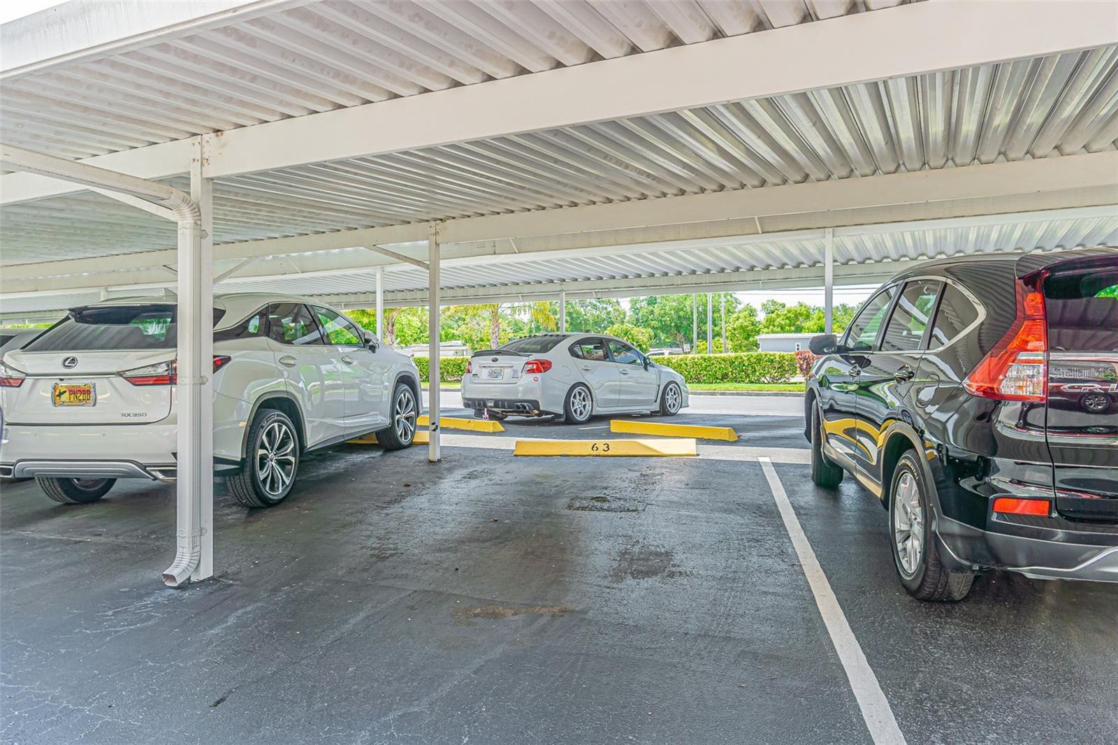 5501 80TH ST N #206, ST PETERSBURG, FL, 33709