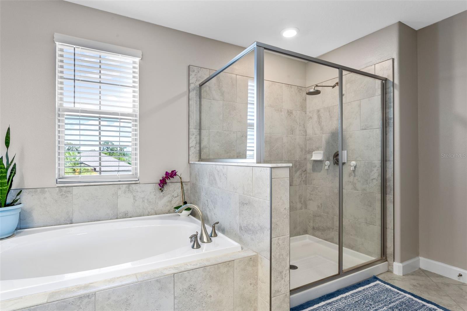 10617 BAHAMA WOODSTAR CT, RIVERVIEW, FL, 33579