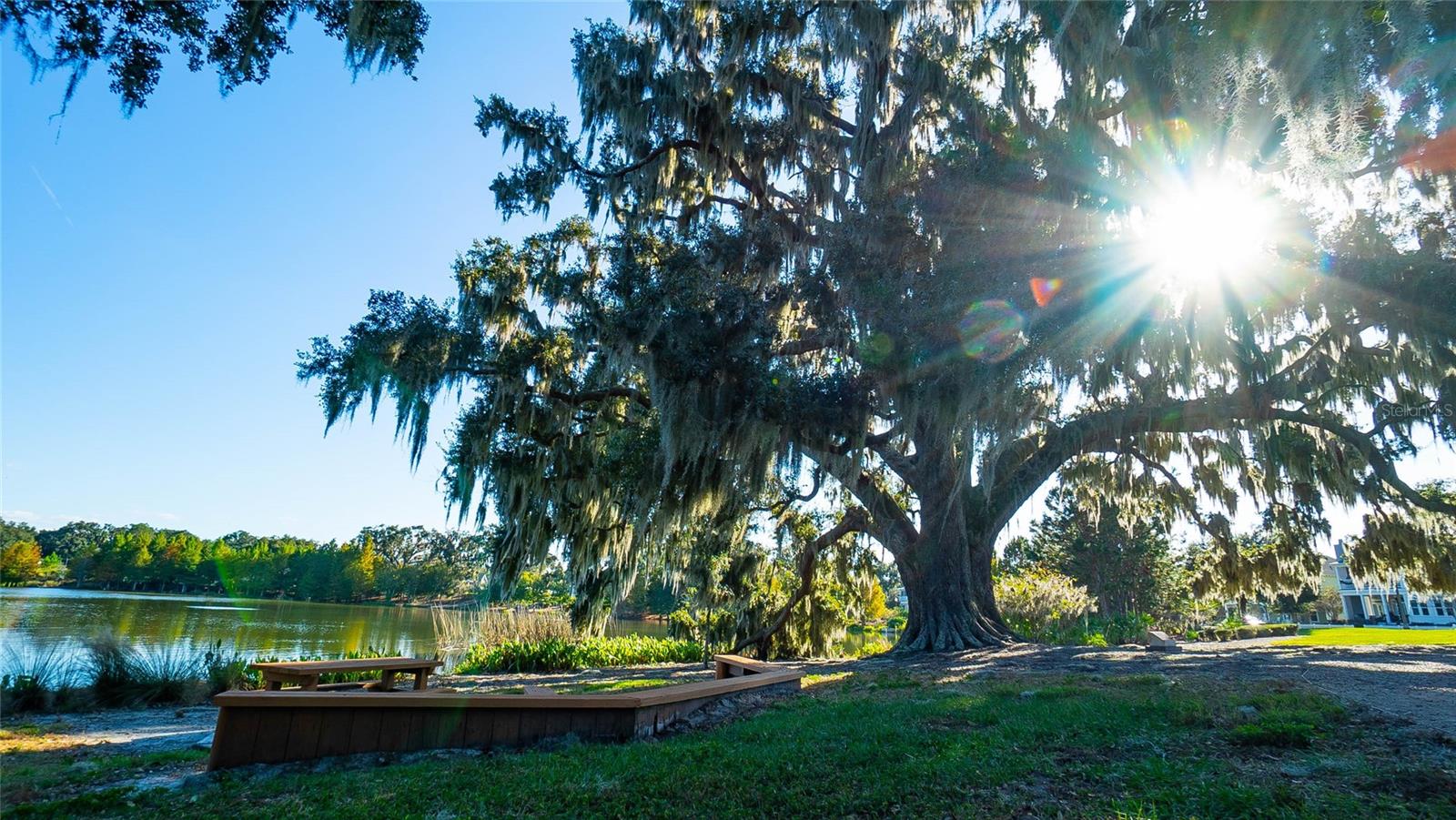 859 EASLEY AVE, WINTER GARDEN, FL, 34787