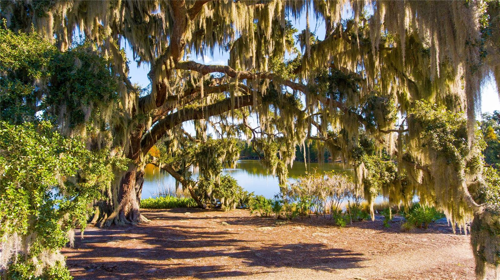 859 EASLEY AVE, WINTER GARDEN, FL, 34787