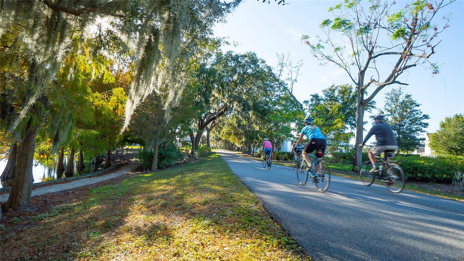 859 EASLEY AVE, WINTER GARDEN, FL, 34787