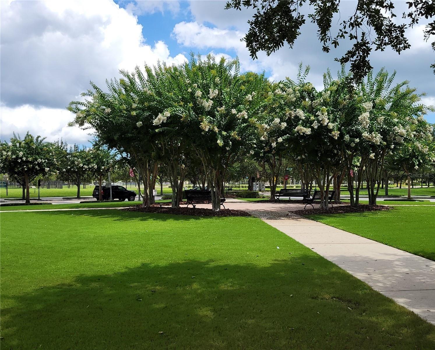 15483 AVENUE OF THE ARBORS, WINTER GARDEN, FL, 34787