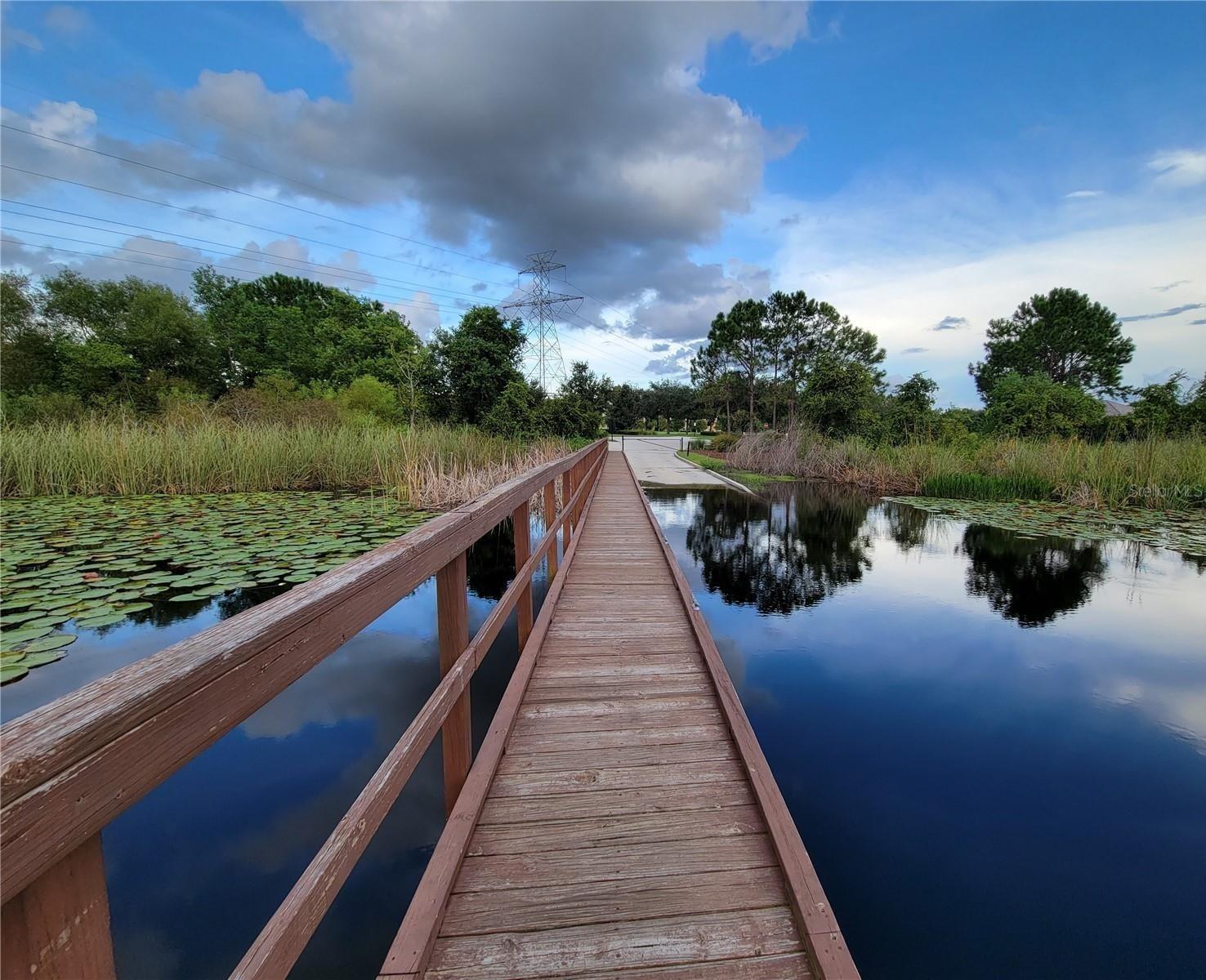 15483 AVENUE OF THE ARBORS, WINTER GARDEN, FL, 34787