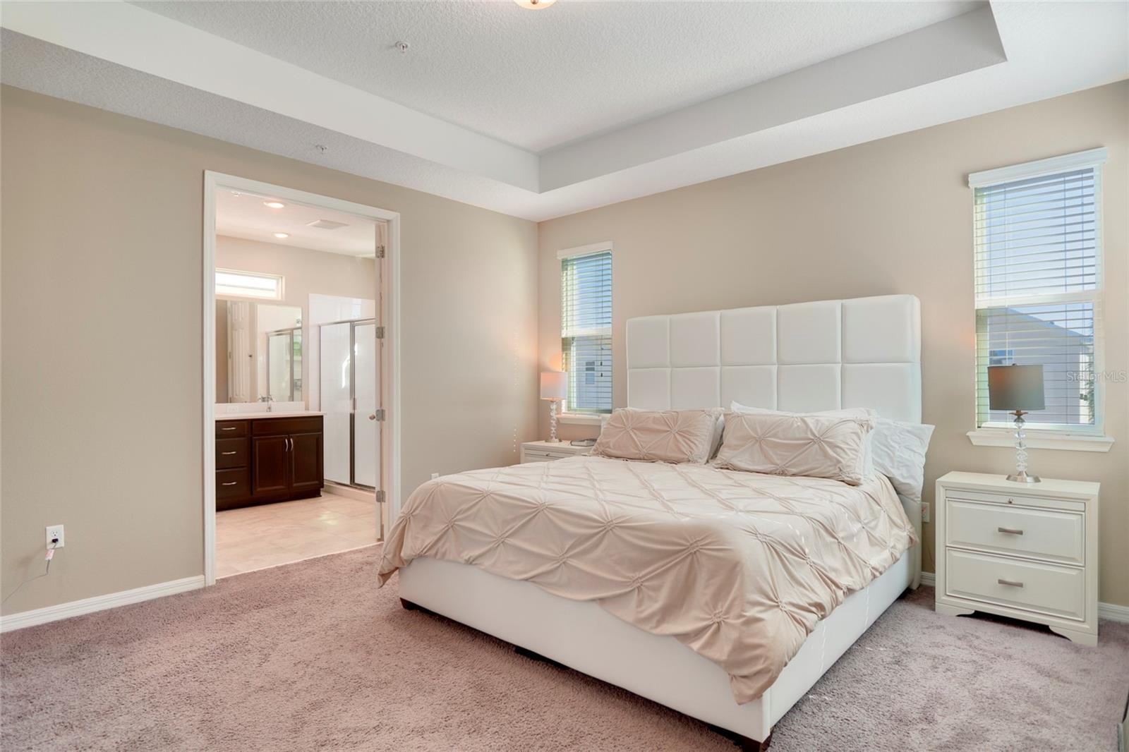 8321 BRYCE CANYON AVE, WINDERMERE, FL, 34786