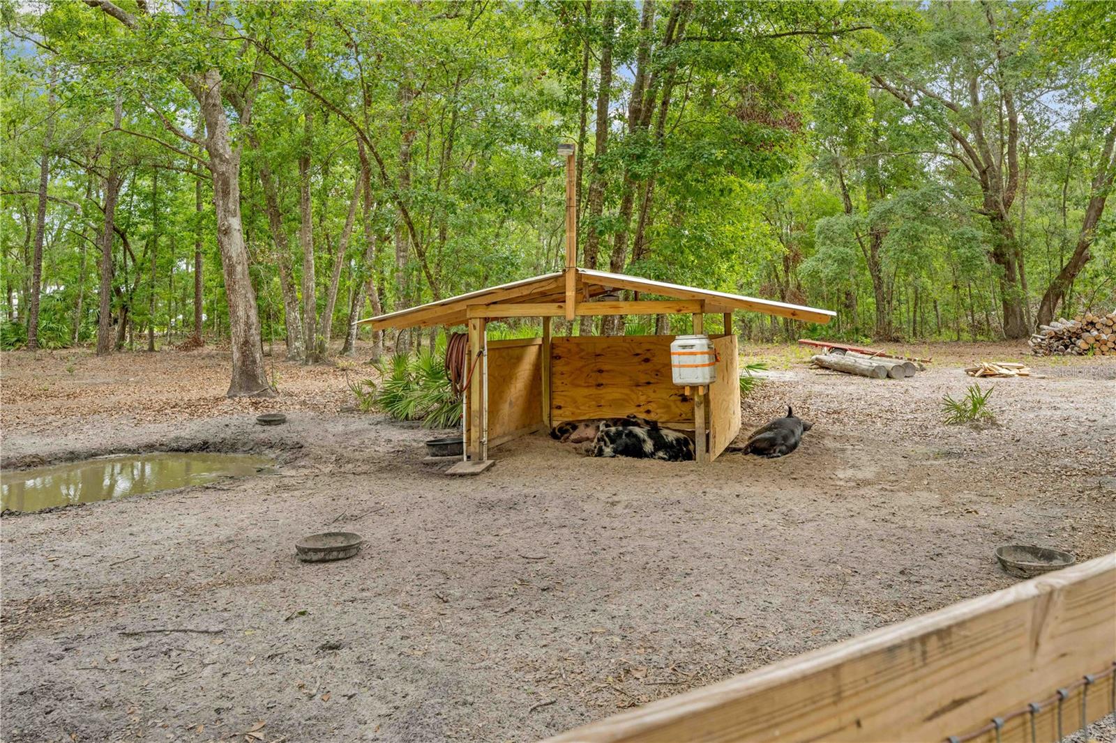 19555 PHILLIPS RD, BROOKSVILLE, FL, 34604