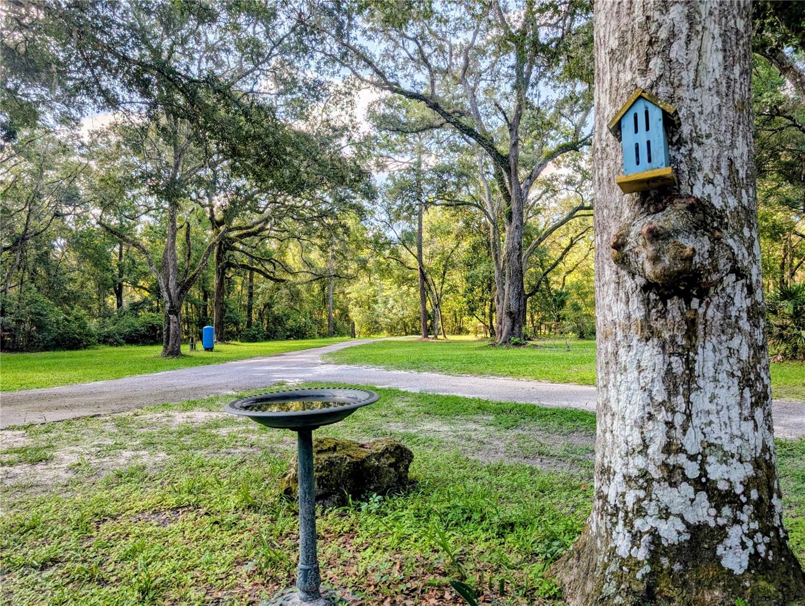 19555 PHILLIPS RD, BROOKSVILLE, FL, 34604