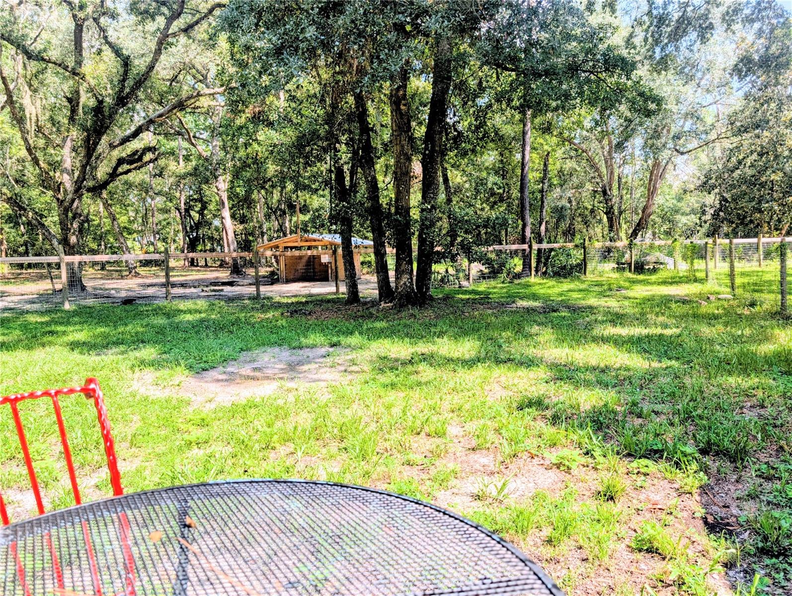 19555 PHILLIPS RD, BROOKSVILLE, FL, 34604