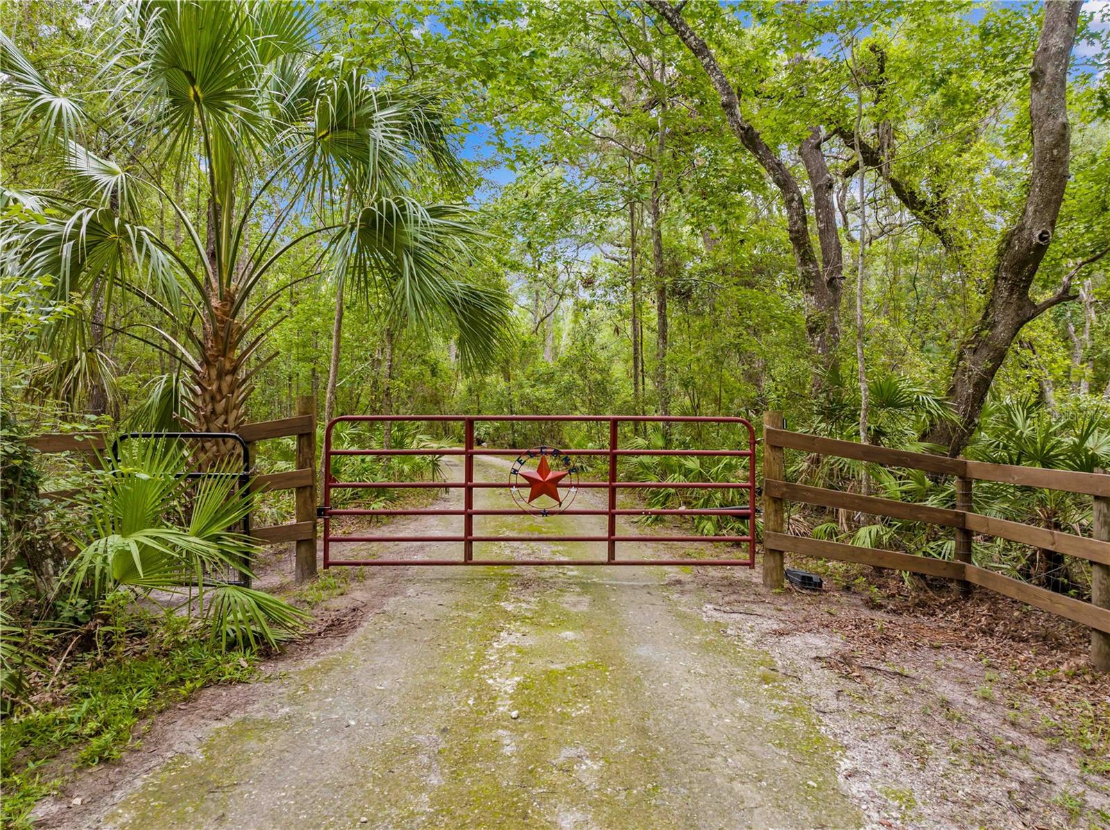 19555 PHILLIPS RD, BROOKSVILLE, FL, 34604